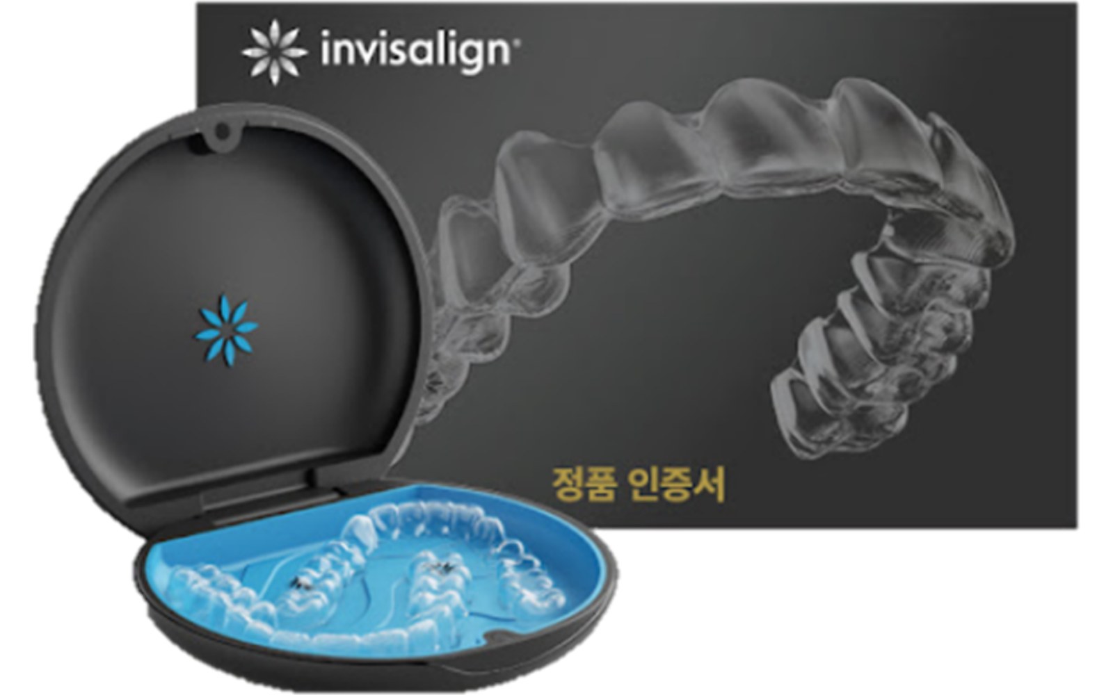 인비절라인 정품 인증서와 장치 케이스